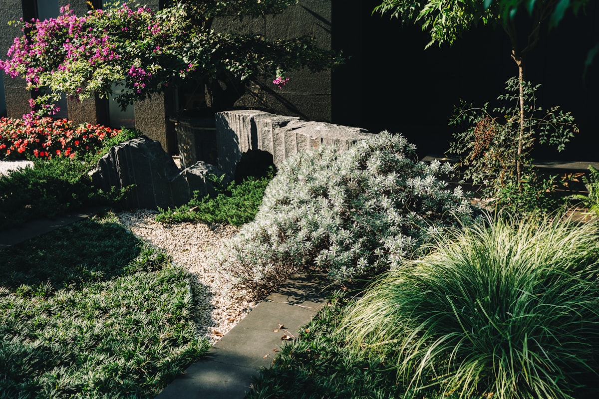 Rock garden with ornamental grasses and flowering plants