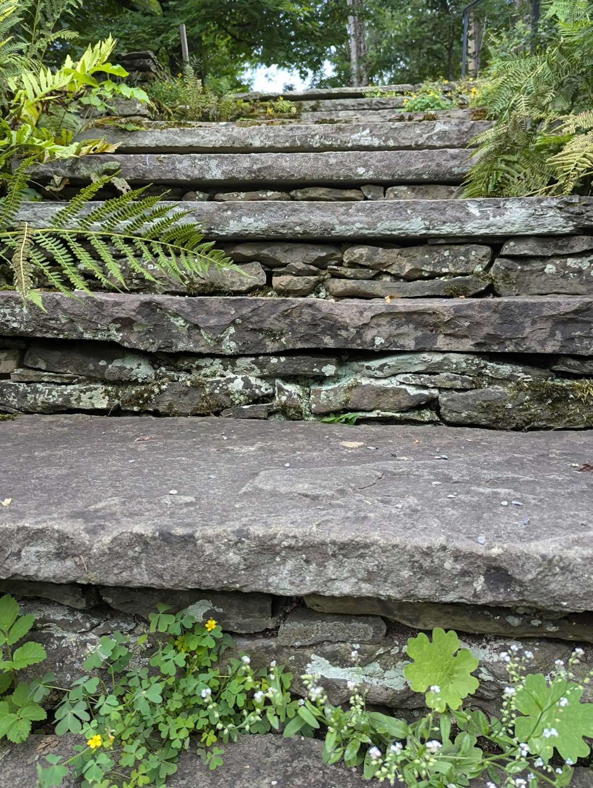 Stacked-stone garden steps lined with ferns